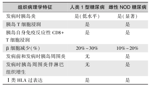 表5 1型糖尿病患者与雌性NOD糖尿病小鼠的表型差异